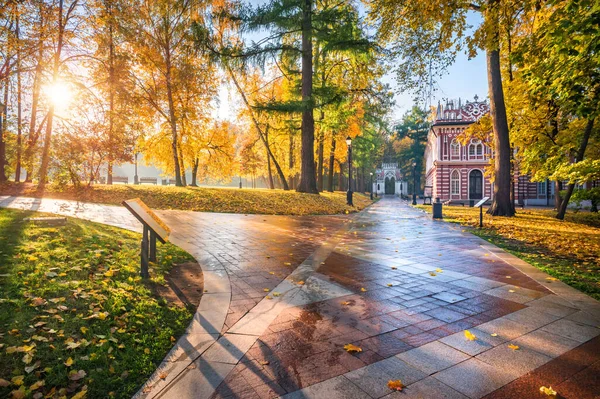 莫斯科沙里奇诺公园的小巷和晨阳下的金秋树 — 图库照片