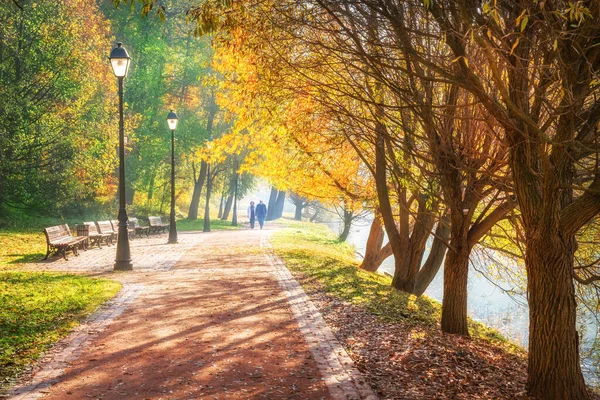 秋の公園を散歩中のカップルモスクワのツァリツィノ池のほとりにある黄金の紅葉の木の間 — ストック写真