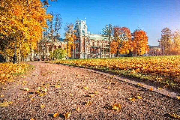 Palácio Tsaritsyno Moscou Rodeado Por Árvores Coloridas Outono Parque Folhas — Fotografia de Stock