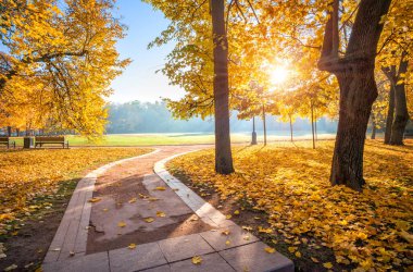 Moskova 'daki Tsaritsyno parkının altın sonbahar ağaçları ve güneşli bir sabahın erken saatlerinde sokağın kıvrımları.
