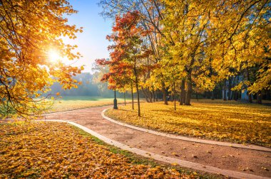 Güneşli bir sabahta Moskova 'daki Tsaritsyno parkında altın ve kırmızı yapraklı ağaçlar