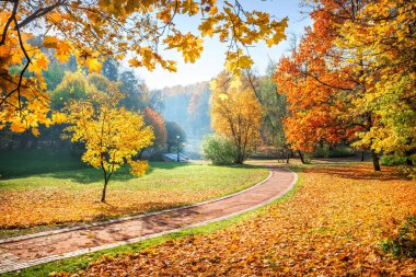 Moskova 'daki sonbahar parkında renkli ağaçlar Tsaritsyno, sonbahar yaprakları ve patika