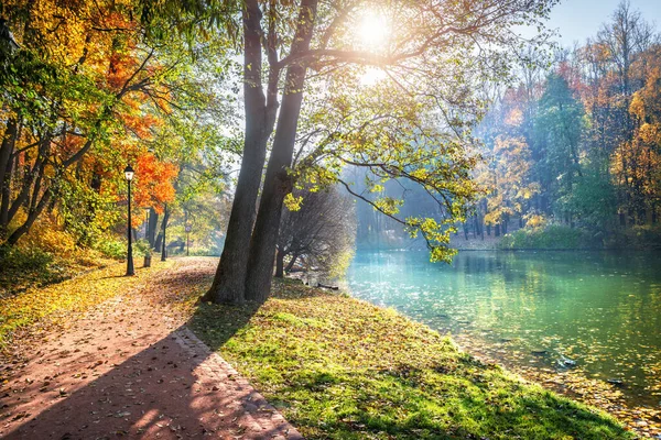 モスクワのツァリツィノの秋の公園の池のほとりの枝に太陽の光で輝く葉の木とカラフルな木 — ストック写真