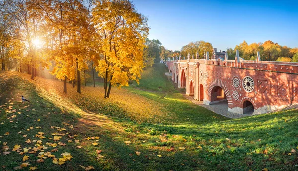 Cihlový Most Přes Rokli Caritsyno Parku Moskvě Mezi Pestrobarevnými Podzimními — Stock fotografie