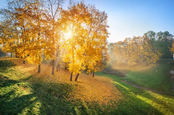 Gyllene Höstlöv Träd Och Gräs Tsaritsyno Parkens Ravin Moskva Och — Stockfoto