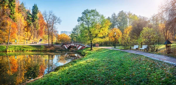 モスクワのツァリツィノの池の上の橋と朝の太陽の光の下で公園のカラフルな秋の木 — ストック写真