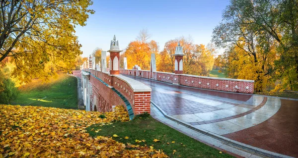 Brick Bridge Ravine Tsaritsyno Park Moscow Colorful Autumn Trees Light — Stock Photo, Image