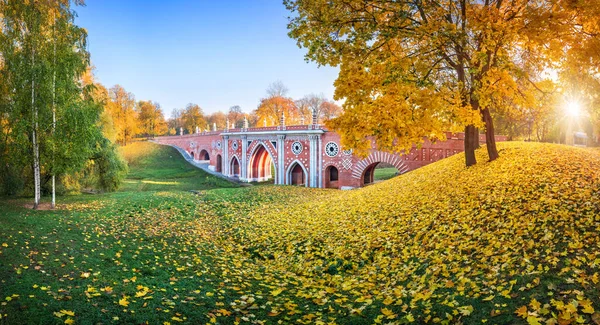 Brick Brug Een Ravijn Tsaritsyno Park Moskou Tussen Kleurrijke Herfstbomen — Stockfoto