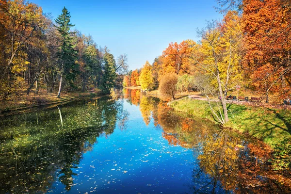 モスクワのツァリツィノ公園の池のほとりに沿って 朝の太陽に照らされた反射とカラフルな赤と黄色の秋の木 — ストック写真