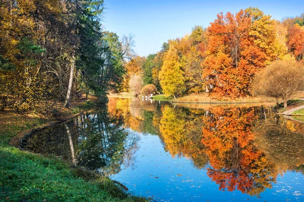 在一个阳光明媚的清晨 莫斯科察里兹诺公园 美丽的秋天 五彩缤纷的树木映衬在池塘的水面上 — 图库照片