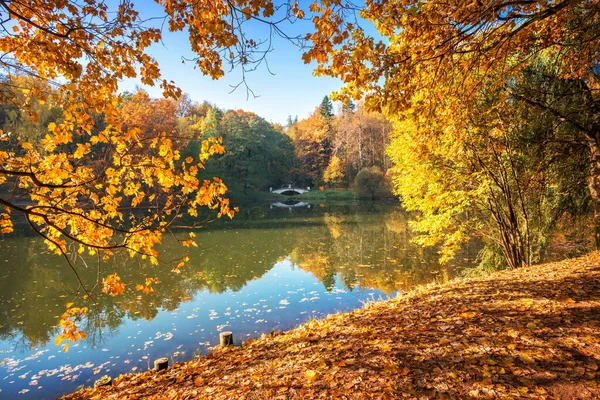 モスクワのツァリツィノ公園の池で 朝の太陽の下で黄金の秋の木の間 — ストック写真