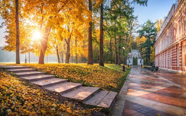 Steg Och Gränd Tsaritsyno Park Moskva Bland Gyllene Höstträd Morgonsolen — Stockfoto