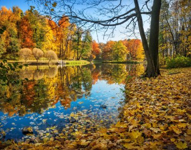 Gölette yansıması olan sonbahar kırmızı, sarı, yeşil ağaçlar ve Moskova 'daki Tsaritsyno parkında dökülen yapraklar.