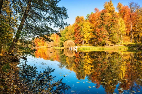 Színes Sokszínű Őszi Fák Tükröződnek Vizében Moszkvai Saritsyno Parkban Egy — Stock Fotó