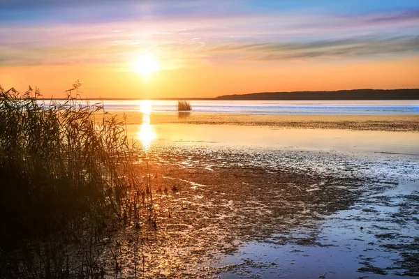 Galich Lake Kostroma Region Setting Sun Reflection Thickets Reeds — Stock Photo, Image