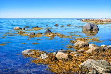 Solomon Adaları 'ndaki Beyaz Deniz' in mavi sularında sonbahar güneşinin ışınlarında kayalar ve algler.