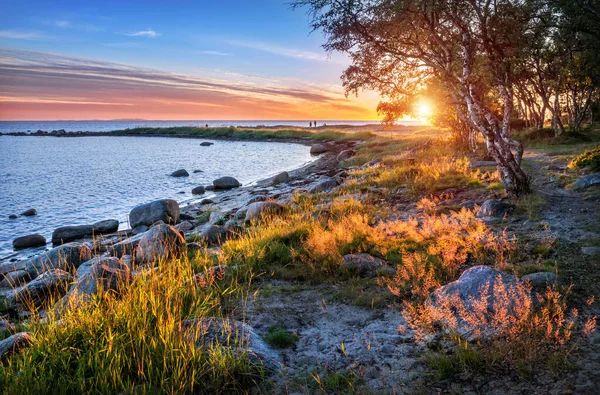 White Sea Solovetsky Islands Cape Labyrinths Stones Grass Rays Setting — Stock Photo, Image