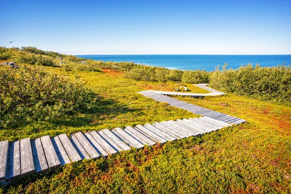 緑豊かな草と低い茂みと海岸への木製のパスを持つZayatsky島のツンドラ風景 — ストック写真