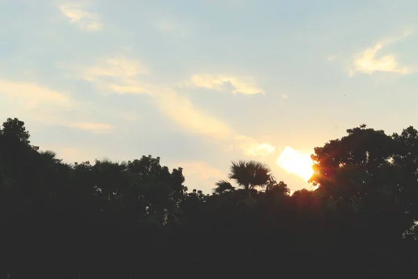 Evening view - beautiful orange evening sky. — Stock Photo, Image