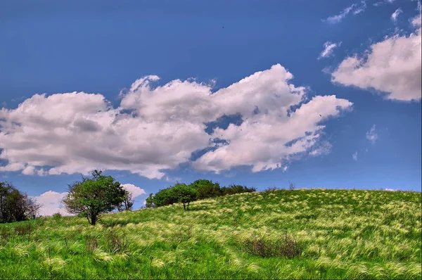 Céu Azul Com Nuvens Brancas Sobre Prado Verde — Fotografia de Stock