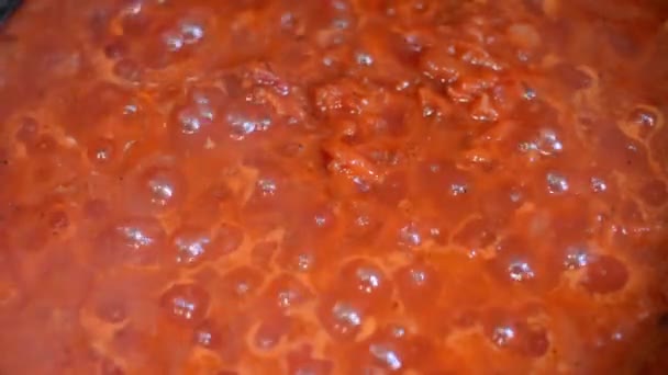 Cocinar Delicioso Condimento Para Borscht Alimento Natural Saludable — Vídeo de stock