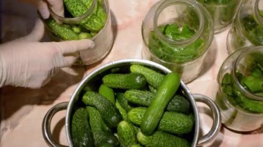 Salatalık salatalık. Kış için sağlıklı ve sağlıklı gıda hasat.