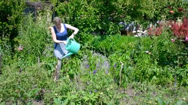 Fille Dans Jardin Arrosant Les Fleurs — Video