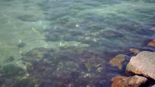 Прекрасний Вид Підводне Море Природними Світловими Променями Сяють Крізь Блискучу — стокове відео