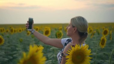 kadın kendini çekim paylaşmak senin fotoğraf online fotoğraf kız arka plan ayçiçeği, telefon