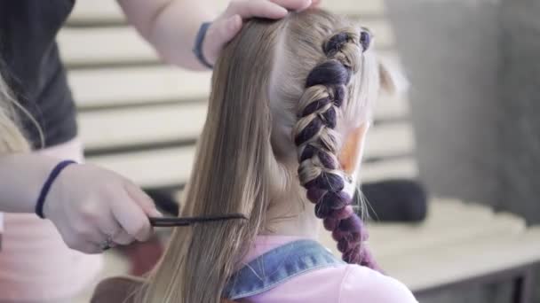 Tranças São Trançadas Uma Jovem Fazer Penteado Cabeleireiro Estilo Seu — Vídeo de Stock