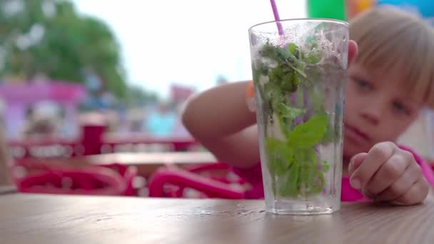 여자는 지푸라기를 카페에서 모히토를 마십니다 공원에서 휴식을 취하십시오 — 비디오