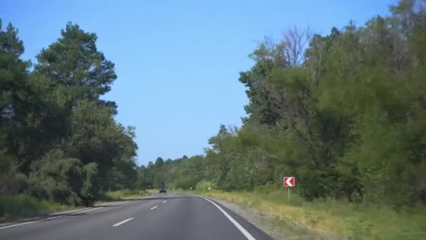 有限の森を通るアスファルト道路 車を運転する — ストック動画