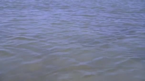 Temiz Sakin Deniz Küçük Dalgalar Ile Denizin Yüzeyi — Stok video
