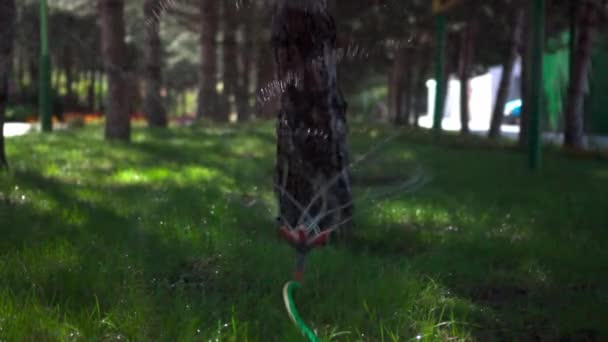 잔디에 태양에 급수용 스프링클러 슬로우 — 비디오