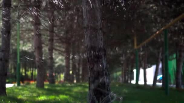 緑の芝生に水をやる太陽の下で水滴 散水用スプリンクラー スローモーション — ストック動画