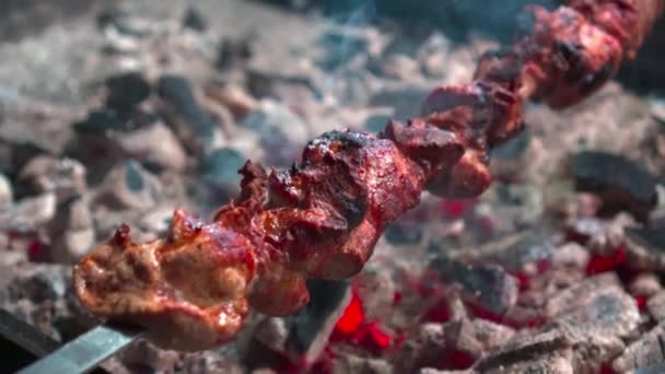 Zbliżenie Niektórych Szaszłyków Mięsnych Grillowanych Grillu — Wideo stockowe