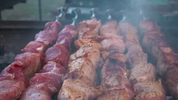 Barbeküde Izgara Yapılan Şişleri Yakın Plan — Stok video