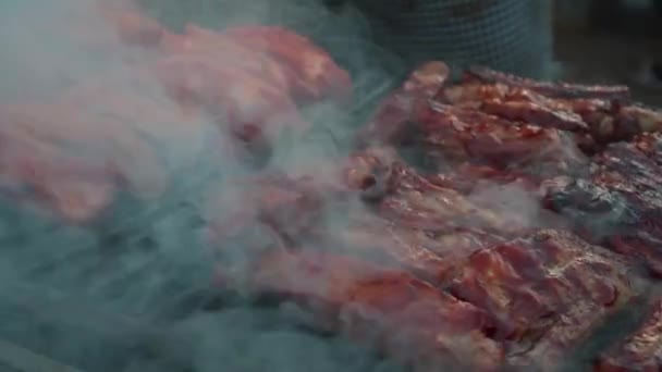 Κοντινό Πλάνο Από Σουβλάκια Κρέατος Που Ψήνονται Μπάρμπεκιου — Αρχείο Βίντεο