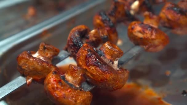 Fleisch Und Gemüsespieße Auf Dem Grill Grillen Champignons Huhn Steak — Stockvideo