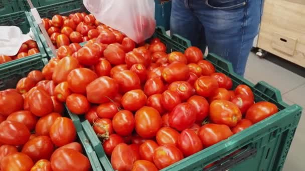 店内でトマトを選ぶ女性の手 — ストック動画
