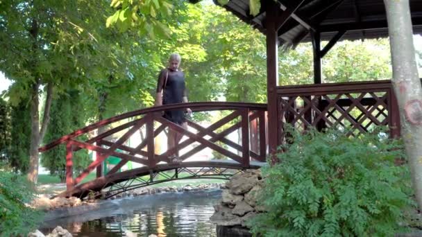 Girl Walks Alone Park Next Small Pond Resting Place Waiting — Stock Video