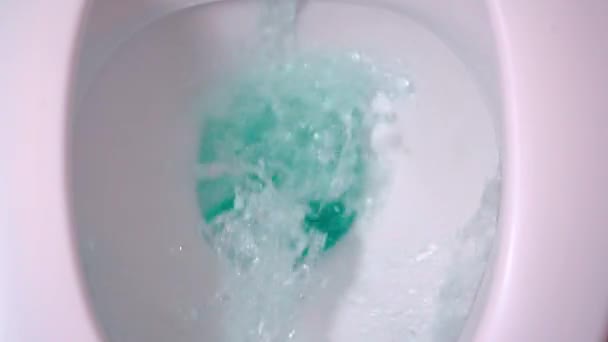 トイレ内の水の排出 渦巻きとスプレー — ストック動画