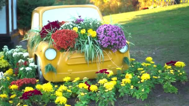 Zaporizhia Ucraina Ottobre 2019 Aiuola Originale Vecchia Auto Fiori Crescono — Video Stock