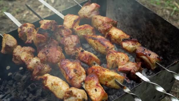 Roken Vlees Gegrild Barbecue Barbecue Buiten Varkensvlees Kebab Roken Spies — Stockvideo