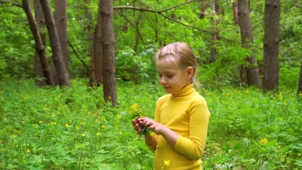 Petite fille recueille une plante médicinale dans la forêt. Celandine fleurissant sur une pelouse verte .