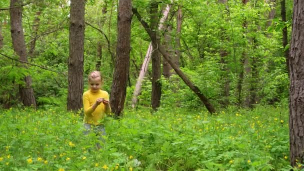 Liten Flicka Samlar Medicinalväxt Skogen Celandine Blommar Grön Gräsmatta — Stockvideo