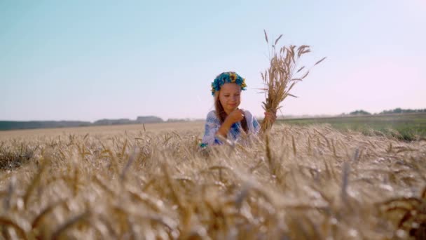 身穿民族服装头戴花环的小女孩收集麦穗 生长小麦的金色田野 收获面包 — 图库视频影像