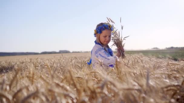 Una Niña Para Campo Trigo Acaricia Espiguillas Con Mano Gran — Vídeo de stock