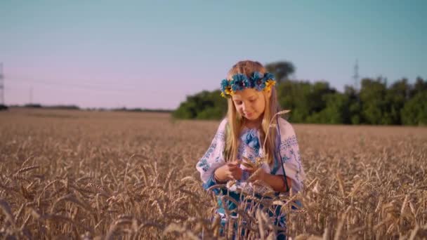 麦畑の夕日 小麦と笑顔の黄金の耳の間には 頭に花輪を持つ陽気な女の子が立っています 田舎に住んでいる人は — ストック動画