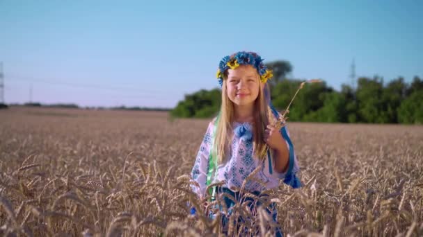 小麦畑のスパイクレットの間で彼女の頭の上に花輪を持つ少女の肖像画 晴れた夏の日に収穫する — ストック動画